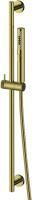 Душевой гарнитур Allen Brau Priority 5.31010-GB золото