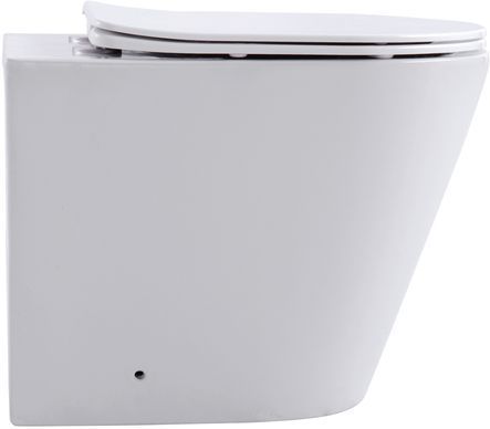 Унитаз приставной Aquanet Rimless Atago 2.0 F LX-1906 Унитаз приставной Aquanet Rimless Atago 2.0 F LX-1906
