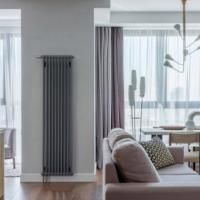 Стальной радиатор Arbonia 2180/10 N69 твв SF-3 Anthrazit metallic 10 секций с нижним подключением Стальной радиатор Arbonia 2180/10 N69 твв SF-3 Anthrazit metallic 10 секций с нижним подключением