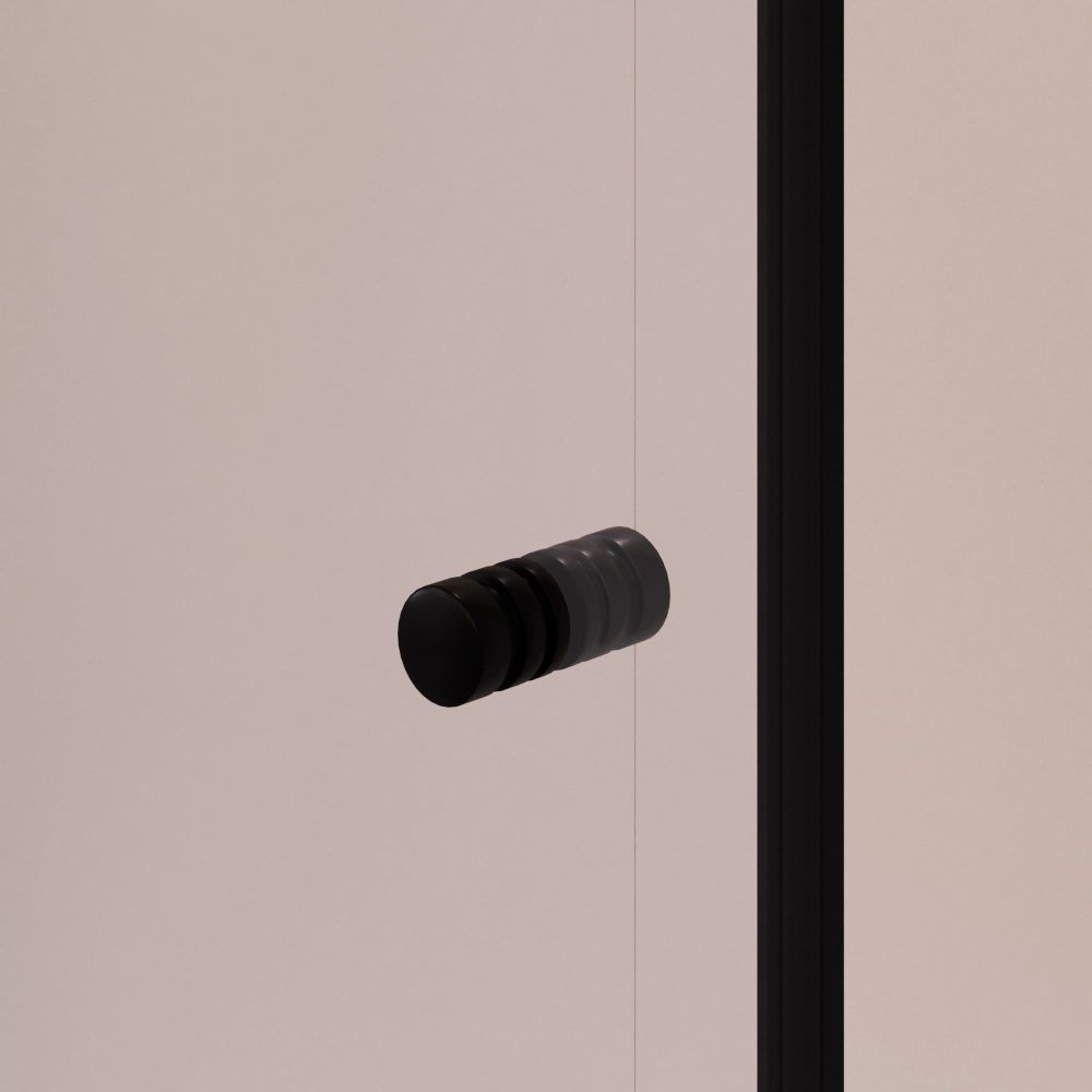 Душевая дверь RGW PA-02B NEW (Прозрачное, 900)