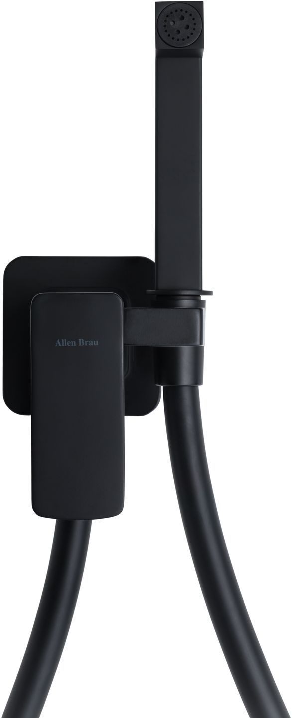 Смеситель с гигиеническим душем Allen Brau Infinity 5.21005-31 (с внутренней частью) черный матовый, артикул 5.21005-31
