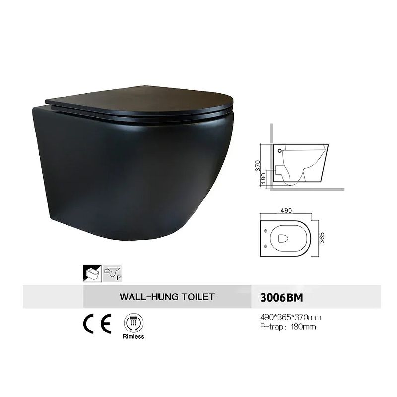 Унитаз Bronze de Luxe Scandi 3006-BM подвесной с сиденьем