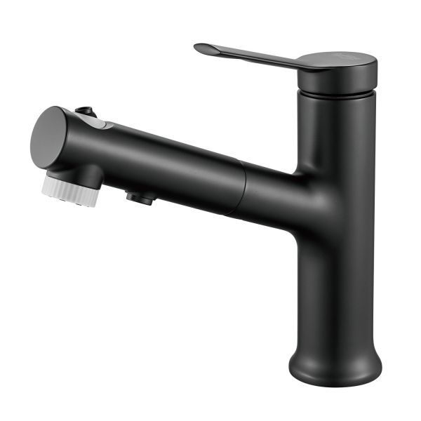 Смеситель для раковины многофункциональный Raffine F281H, черный