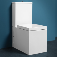 SIMAS Механизм двойного слива Frozen, Arcade, Londra, цвет кнопки хром