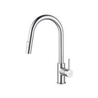 Смеситель для кухни с вытяжным изливом 2 jet AQUATEK AQ1384CR ЕВРОПА Смеситель для кухни с вытяжным изливом 2 jet AQUATEK AQ1384CR ЕВРОПА