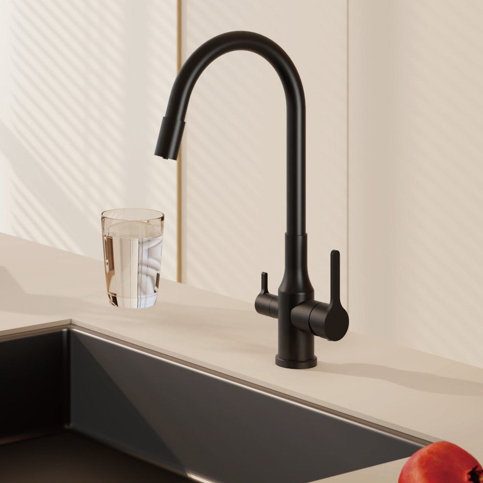 Смеситель для кухни с гибким изливом и подключением фильтра BELZ B76814-7, черный