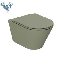 AZZURRA FORMA Сиденье для унитаза быстросъемное с микролифтом, фурнитура хром, цвет Verde natura