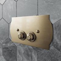 TW 300.2, клавиша смыва для бачков Geberit UP320/720, 33*2,5*h17, установка со смещением вправо 14мм, материал: латунь, цвет: бронза TW 300.2, клавиша смыва для бачков Geberit UP320/720, 33*2,5*h17, установка со смещением вправо 14мм, материал: латунь, цвет: бронза