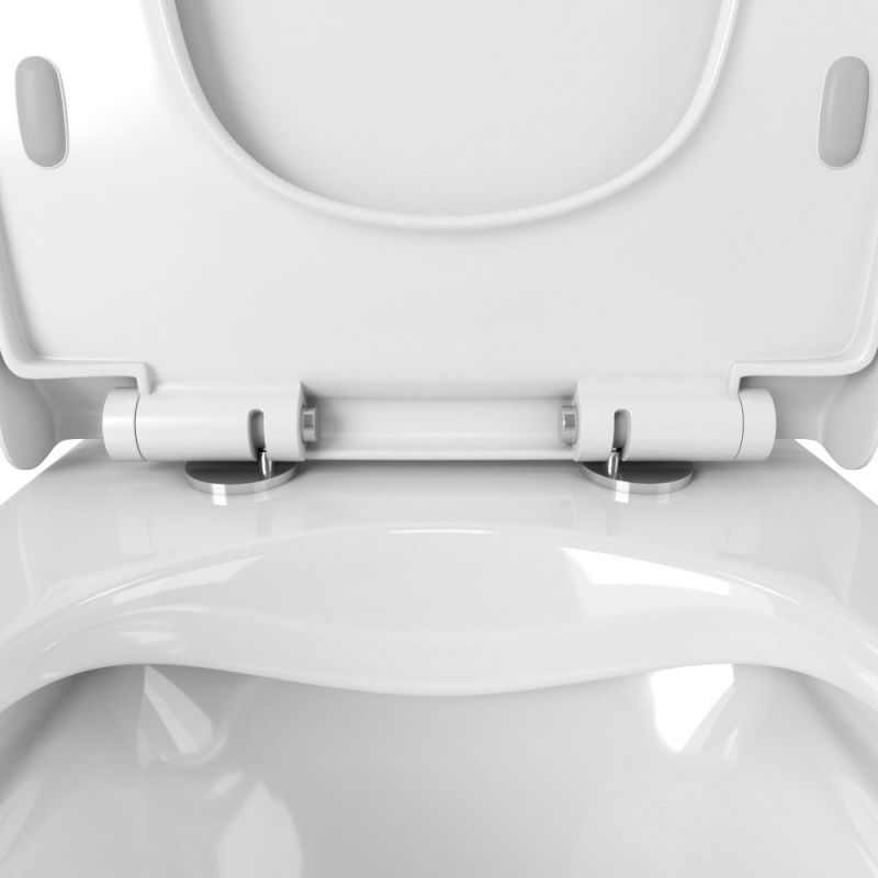 Унитаз Owl 1975 Vatter Ruta-H mini OWLT190403 подвесной с сиденьем Микролифт