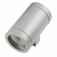 Светильник уличный настенный Paro Lightstar 351619 Светильник уличный настенный Paro Lightstar 351619
