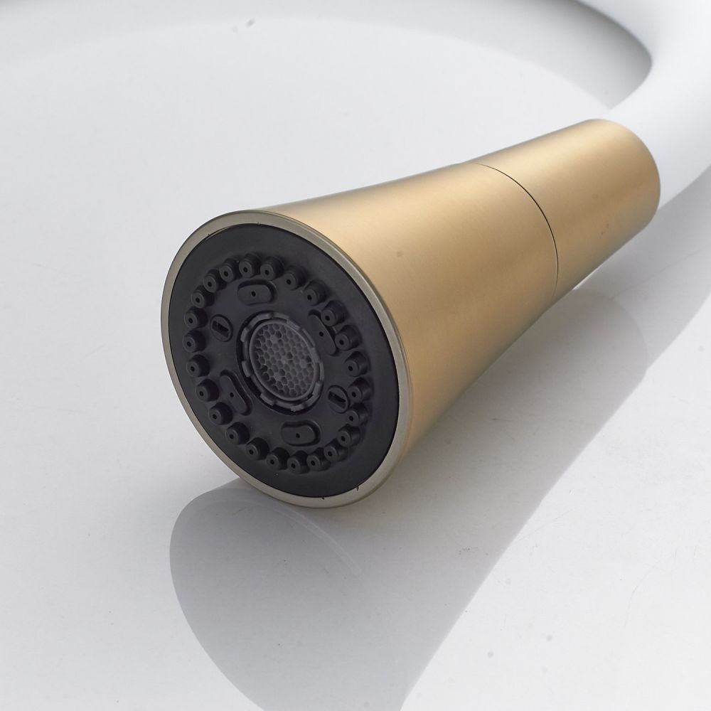 Смеситель для кухни с гибким изливом и режимом "душ" Rose R213G, золотой сатин