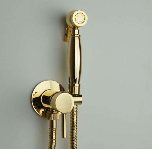 Emmevi, комплект гигиенического душа со смесителем для горячей и холодной воды (руч. душ C02452), цвет золото