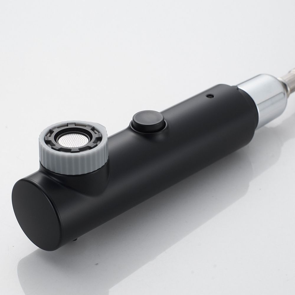 Смеситель для раковины многофункциональный Raffine F281H, черный