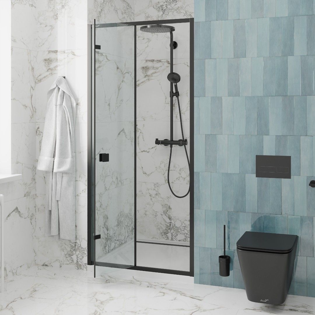Дверь BELLA D101B душевая в нишу Cerutti SPA (100х195) Дверь BELLA D101B душевая в нишу Cerutti SPA (100х195)