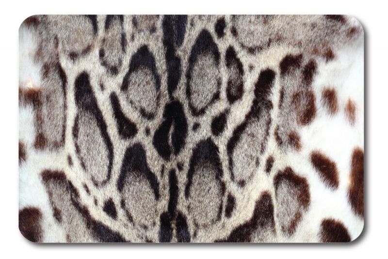Комплект ковриков Veragio Carpet 68x45 VR.CPT-7200.04 с рисунком Jaguar Комплект ковриков Veragio Carpet 68x45 VR.CPT-7200.04 с рисунком Jaguar