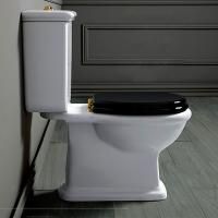 SIMAS Lante Унитаз моноблок с горизонтальным сливом, цвет белый