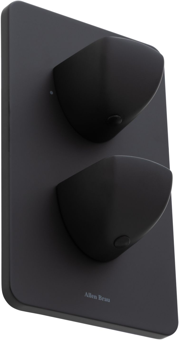 Смеситель для ванны Allen Brau Infinity 5.21216-31 (с внутренней частью, 2 выхода) черный матовый, артикул 5.21216-31