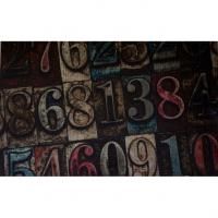 Коврик для входной двери Fora 40х60 FOR-DOOR09 Цифры