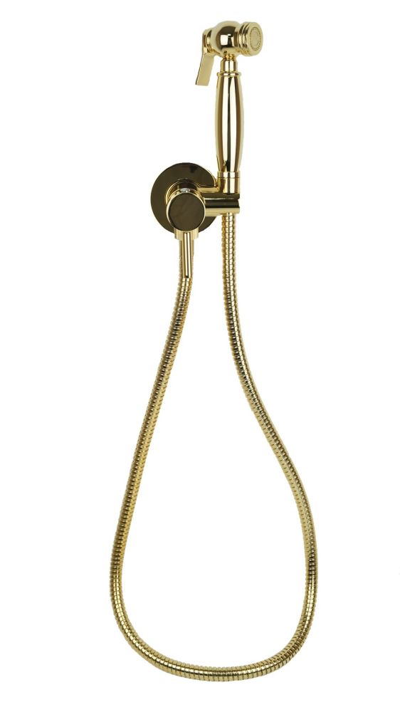Emmevi, комплект гигиенического душа со смесителем для горячей и холодной воды (руч. душ C02452), цвет золото, артикул 179/OR