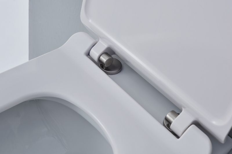 Унитаз SSWW CT2040 подвесной с сиденьем Микролифт