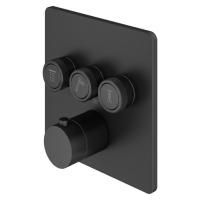 Plumberia Selection PSBOX Внешняя часть встраив. смесителя для душа на 3 вых,для комбин.с PSB003 накладка нерж.сталь 160x160мм, черн.матов.