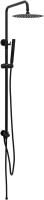 Душевая стойка Allen Brau Priority 5.31031-31 черный матовый