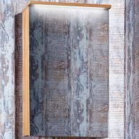 Зеркальный шкаф Бриклаер Форест 50 с подсветкой Антрацит со вставкой Пенёк