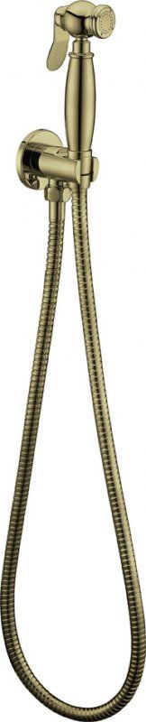 Душ гигиенический CEZARES CZR-C-IFSC1, CZR-U-IFSC1