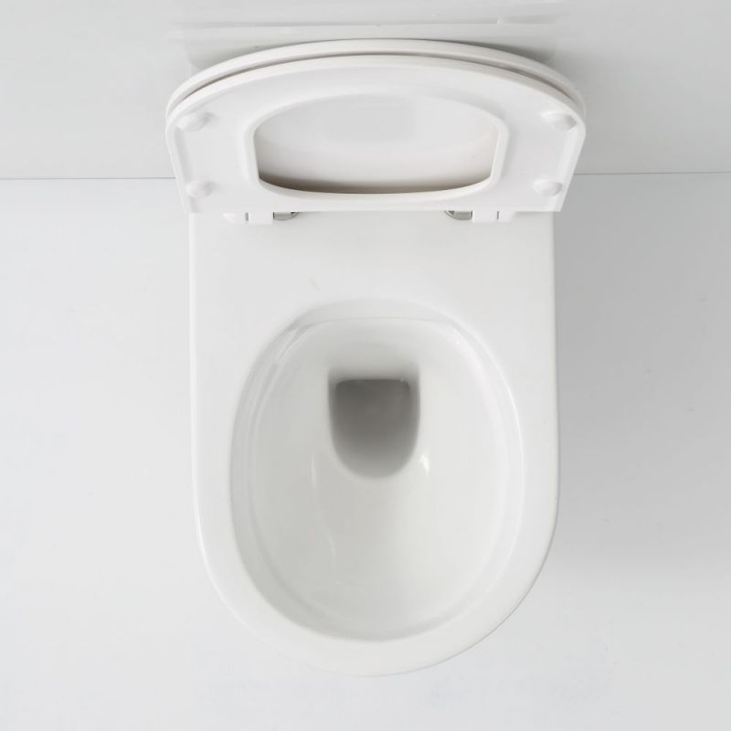 Унитаз SSWW NC2039 подвесной с сиденьем Микролифт