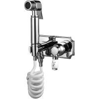 Гигиенический душ со смесителем Elghansa Concealed 12C0884 (Set-59) Хром