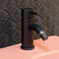 Смеситель для биде, Cisal, Less New, тип открывания воды-однорычажный, тип регулирования воды-керамический картридж, отверстия для монтажа-1, высота, мм-141, вынос излива, мм-100, донный клапан-есть, тип подводки-гибкая, стандарт подвода воды-3/8", цвет-B