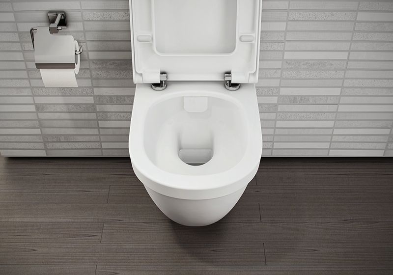 Комплект унитаза Vitra S 50 5956B003-0101 с инсталляцией Berges Wasserhaus Novum L3 040213 с сиденьем Микролифт с клавишей смыва Хром Комплект унитаза Vitra S 50 5956B003-0101 с инсталляцией Berges Wasserhaus Novum L3 040213 с сиденьем Микролифт с клавишей смыва Хром