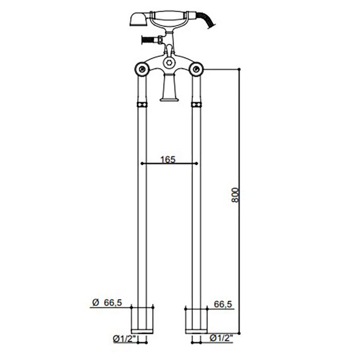 Bongio Cristallo Смеситель напольный для ванны,  с ручной лейкой, цвет золото/cristallo Bianco 00