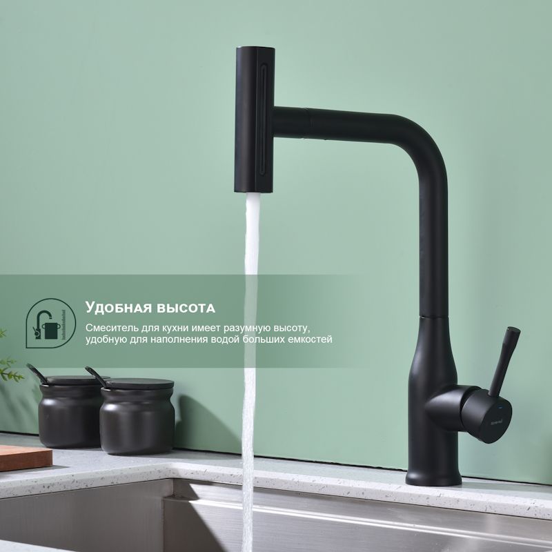 Смеситель для кухни с мультифункциональным изливом Splenka S206.49.06, черный