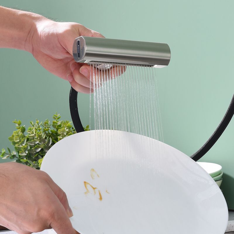 Смеситель для кухни с мультифункциональным изливом Splenka S206.49.05, сатин