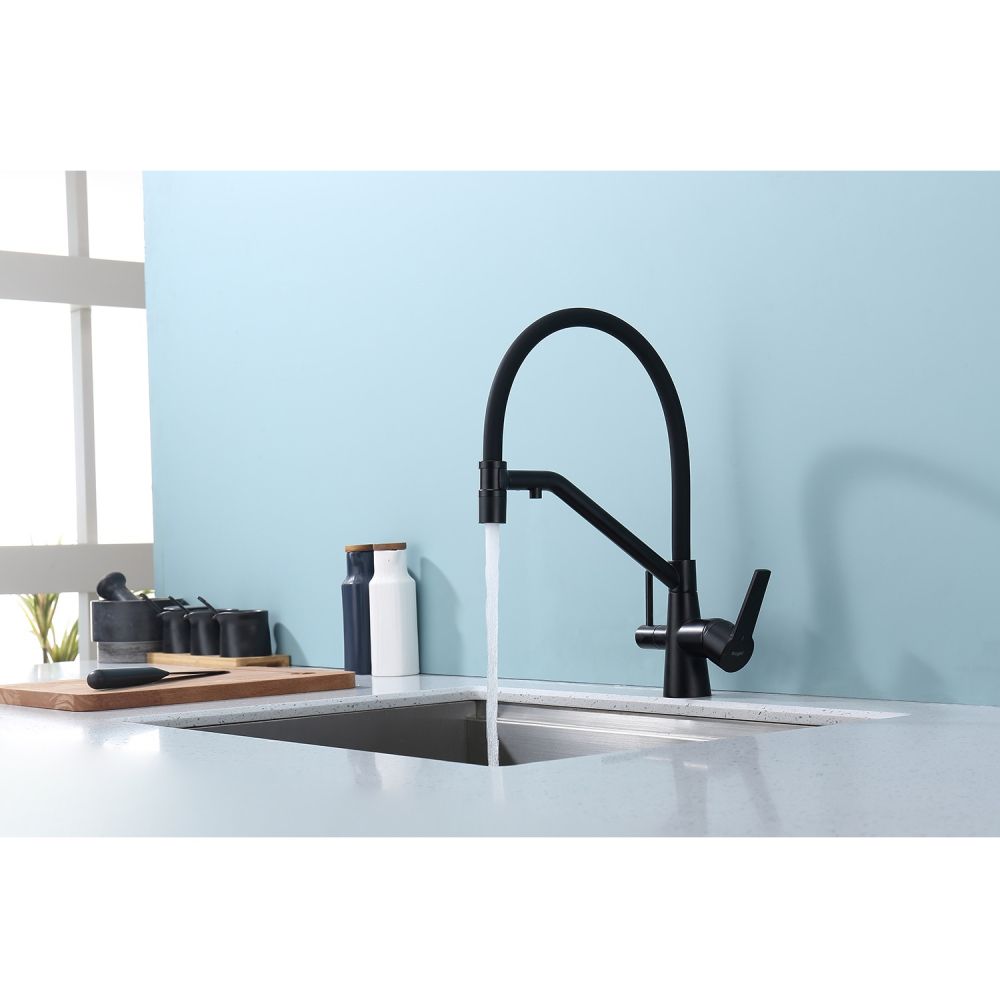 Смеситель для кухни с подключением фильтра Raglo R80.62.06, черный