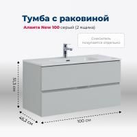 Тумба под раковину Aquanet Алвита New 100 2 ящика, серый Тумба под раковину Aquanet Алвита New 100 2 ящика, серый