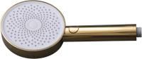 Душевая лейка Allen Brau Priority 5.31B20-GB золото