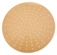 Верхний душ Rav Slezak KS0001Z золотой