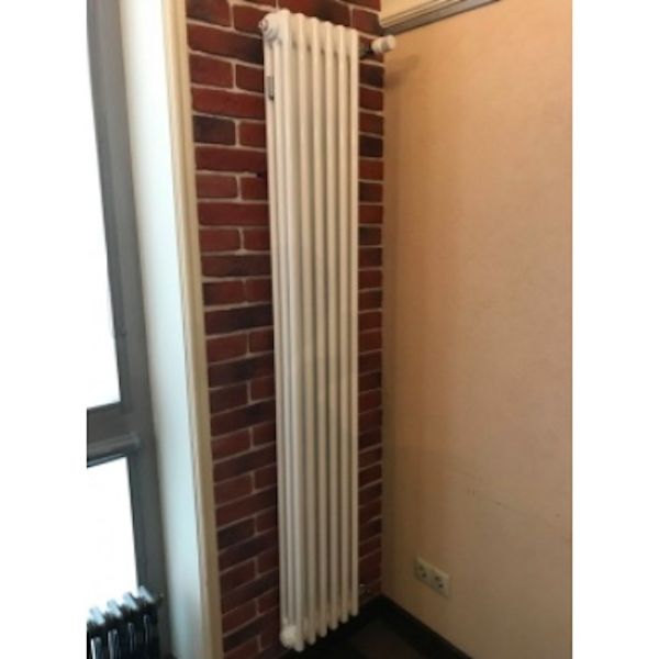 Стальной радиатор Arbonia 3180/08 8 секций с боковым подключением Стальной радиатор Arbonia 3180/08 8 секций с боковым подключением