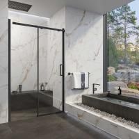 Душевая дверь Veconi Vianno VN-70, 1200x1950, черный, стекло прозрачное