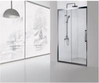 Душевая дверь Aquanet Delta NPE6121 160, прозрачное стекло Душевая дверь Aquanet Delta NPE6121 160, прозрачное стекло