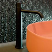 Смеситель для раковины, Cisal, Less New, высокий, тип открывания воды-однорычажный, отверстия для монтажа-1, высота, мм-287, вынос излива, мм-160, цвет-черный матовый