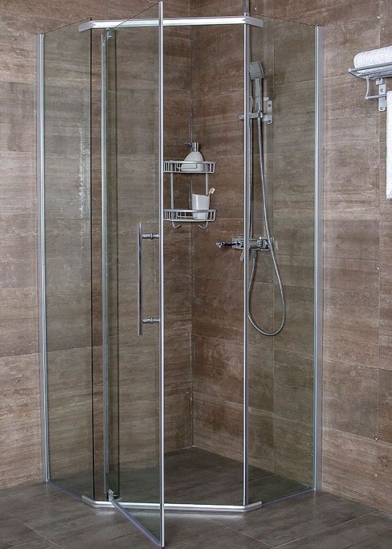 Душевой уголок Erlit ER10110V 100x100 профиль Матовый хром стекло прозрачное