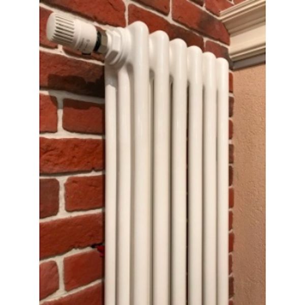 Стальной радиатор Arbonia 3180/06 N69 твв 6 секций с нижним подключением Стальной радиатор Arbonia 3180/06 N69 твв 6 секций с нижним подключением