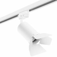 Комплект со светильником Rullo Rullo Lightstar R1T436436 Комплект со светильником Rullo Rullo Lightstar R1T436436
