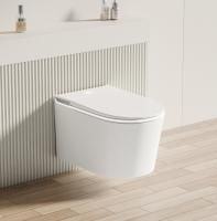 Унитаз подвесной Allen Brau Smart 4.I1001.20 белый, с функцией биде