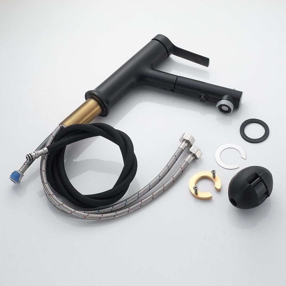 Смеситель для раковины многофункциональный Raffine F281H, черный