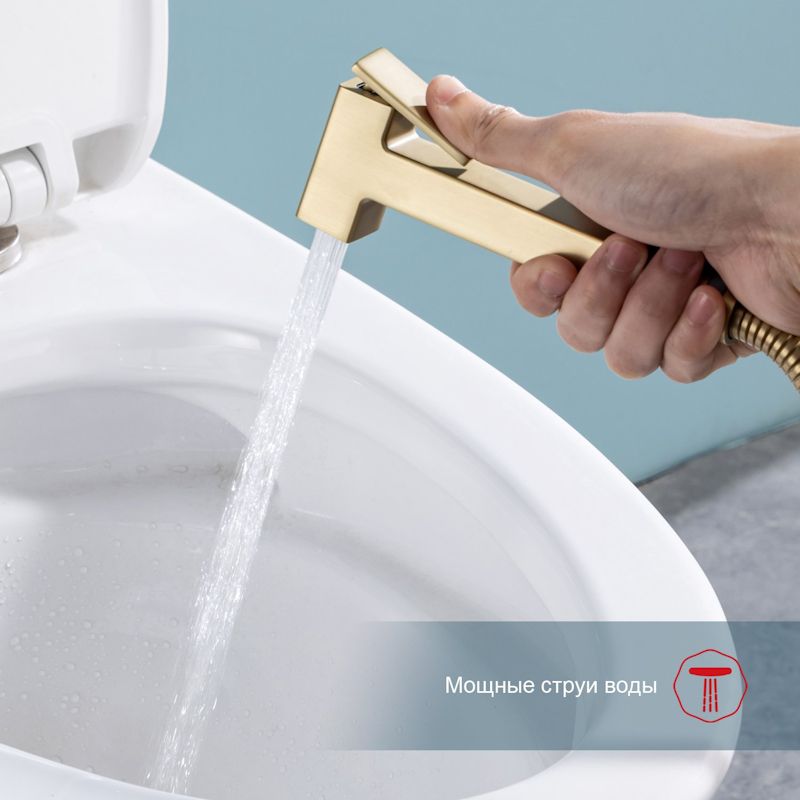 Гигиенический душ со смесителем встраиваемый с полкой и бумагодержателем Raglo R51.55.03, сатин золотой, артикул R51.55.03