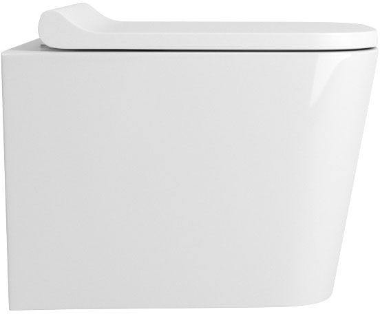 Унитаз Owl 1975 Vatter Ruta-H mini OWLT190403 подвесной с сиденьем Микролифт